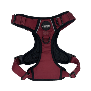 Burgundy Tough Dog Harness